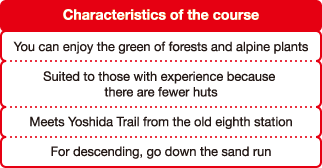 Characteristics of the course